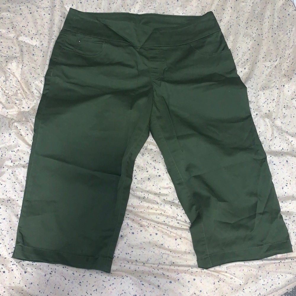 NWOT Time and Tru Capris
